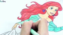 Livre coloration coloration petit sirène Princesse le le le le la Disney ariel pages