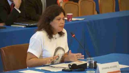 Víctimas y activistas denuncian en la OEA la "tortura sistemática" de Maduro