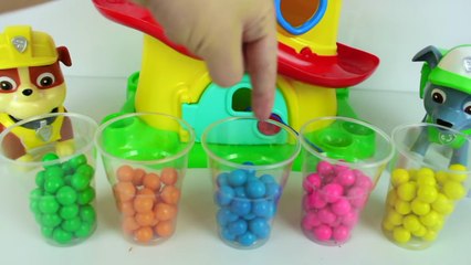 PATRULHA CANINA CASINHA SURPRESA PAW PATROL BEST LEARNING COLORS VIDEO FOR CHILDREN TOYS SURPRISES