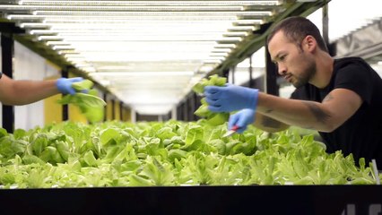 Pentair and Urban Organics Honored as 2017 Agriculture Project of the Year by the WateReuse Association | Pentair