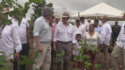 Colombia defiende lucha antidrogas ante amenaza de descertificación de Trump