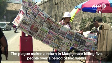 Plague returns to Madagascar killing five in two weeks