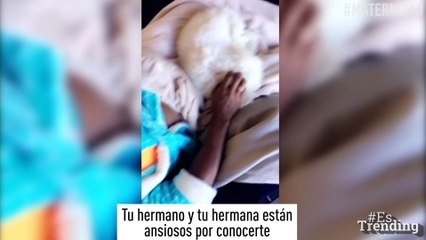 Serena Williams y su esposo hicieron este video para su bebé… ¡Pero terminaron enamorando al mundo!