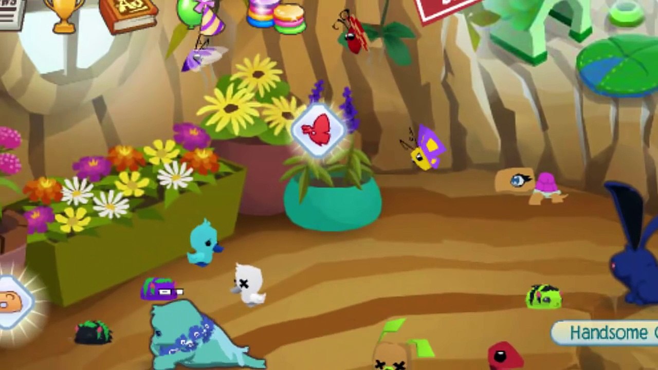 Animal Jam | If Pets Could Talk