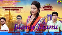 ✓Jaanu Jaanu || Latest Haryanvi D.J Hit Song 2017 ||जानू जानू || Umed Khan || Shivani Raghav || t r