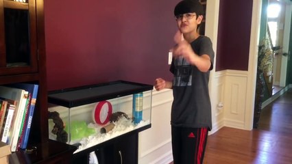 Playing With My Hamster