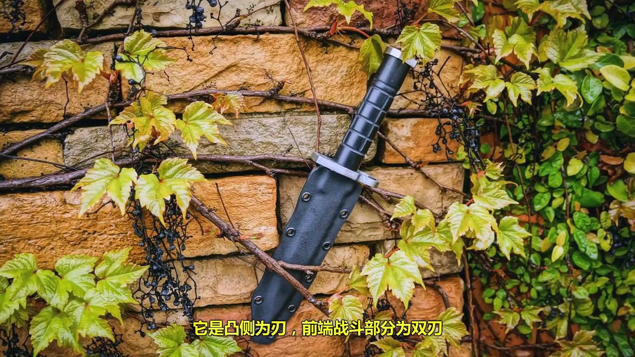 【天下有警】無所不能的美軍禦用軍刀M9到底能幹啥？