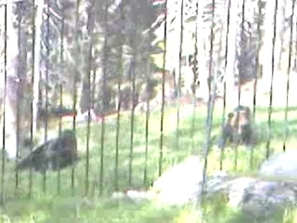 ORSO