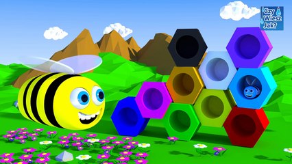 Color learning for kids with honey bee beehives | CzyWieszJak