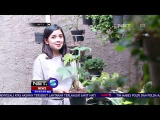 Tren Tanaman Dalam Ruangan Dapat Percantik Dan Mempersegar Suasana Rumah - Net 5