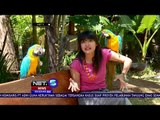 Taman Satwa Mini di Tengah Restoran Daerah Sanur Bali - NET5