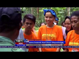 Satwa Endemik Hasil Sitaan Dilepasliarkan Di Papua Barat - NET5