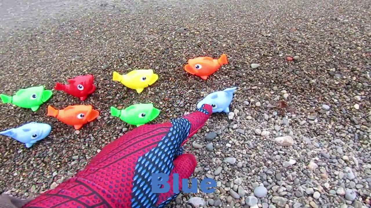 Learn Colors Sea Animals Toys Fish Kids Beach Fun Learning Educational Video Toddlers Kids Babies