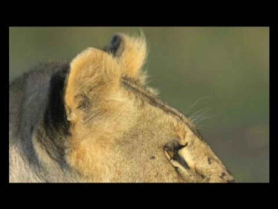 Les photographes de l'impossible