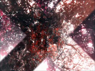 Anthony A. P. Dellaquila - Nothing Happened