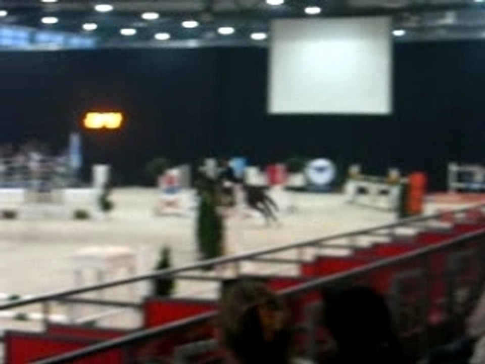 Concours au Salon du Cheval