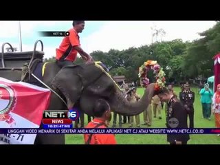 Kemeriahan HUT Bhayangkara ke 71, Datangkan 2 Gajah Sebagai Simbol Kekuatan - NET 16