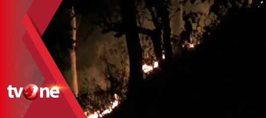 Kebakaran Hutan Melanda di Gunung Gajah Ponorogo