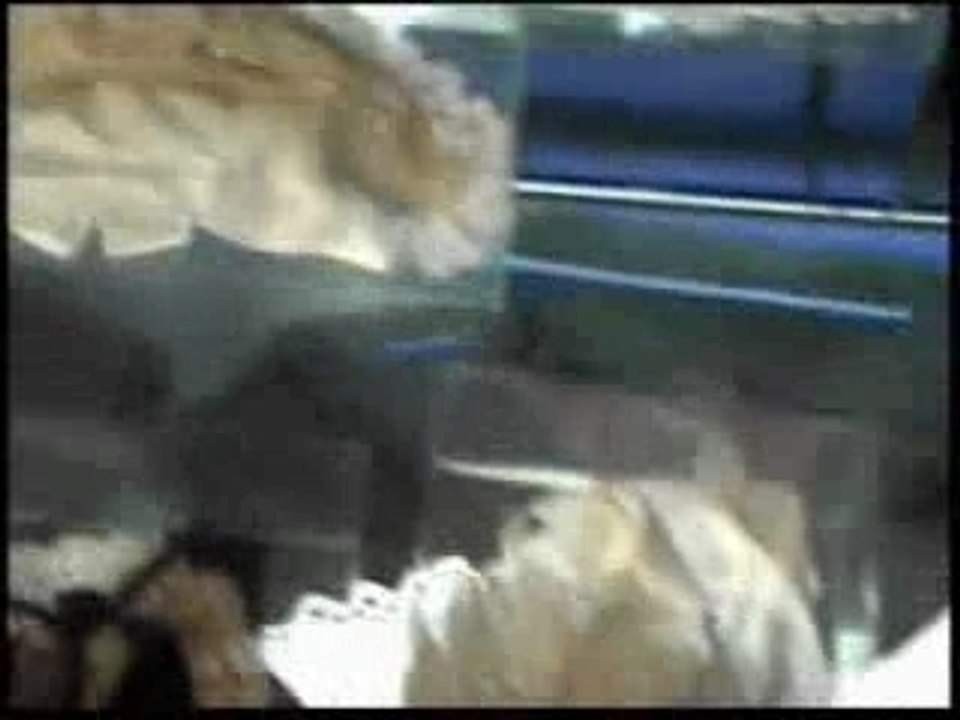 Moi Dix Mois - Mana - Moi Même Moitié