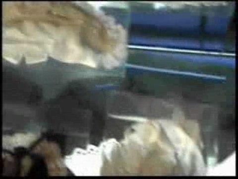 Moi Dix Mois - Mana - Moi Même Moitié