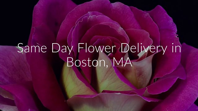 Call @ (617) 858-8018 For Same Day Flower Delivery Boston, MA