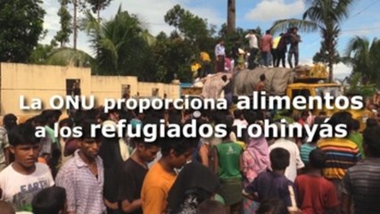 El PMA interviene en la ayuda alimentaria para los rohinyás en Bangladesh