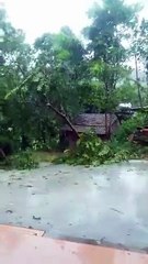 Bão số 10 càn quét tại Bố Trạch, Quảng Bình