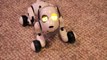 Zoomer The Interive Robotic Pet. Hands-On Review of The Zoomer Dog From Spin Master