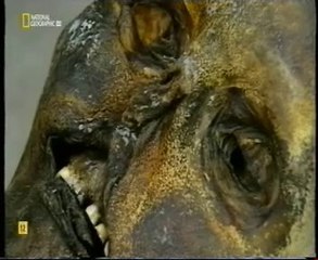 Origenes de la Medicina: Ötzi y las plantas medicinales