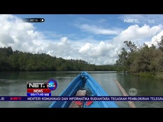 Wisata Hutan Bakau Donggala - NET24