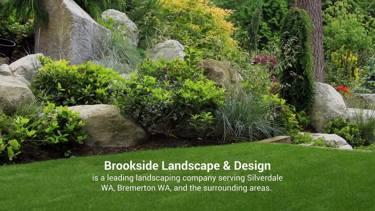 Look For Landscaping Company in Silverdale & Bremerton WA