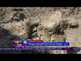 Penemuan Fosil Purba - NET12