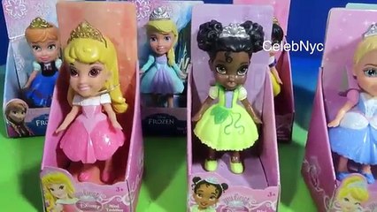Un en Cenicienta colección primero primera mi princesa espumoso niñito Disney mini aurora ariel elsa