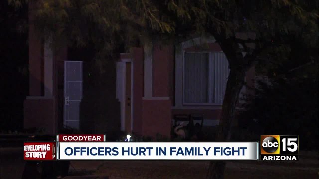 PD: 4 Goodyear officers injured responding to family fight