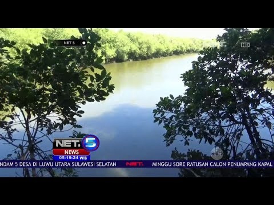Dampak Pencemaran Oleh Limbah di Surabaya, Petani Tambak Merugi - NET5