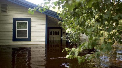 Több milliárd dolláros kár Floridában Irma után