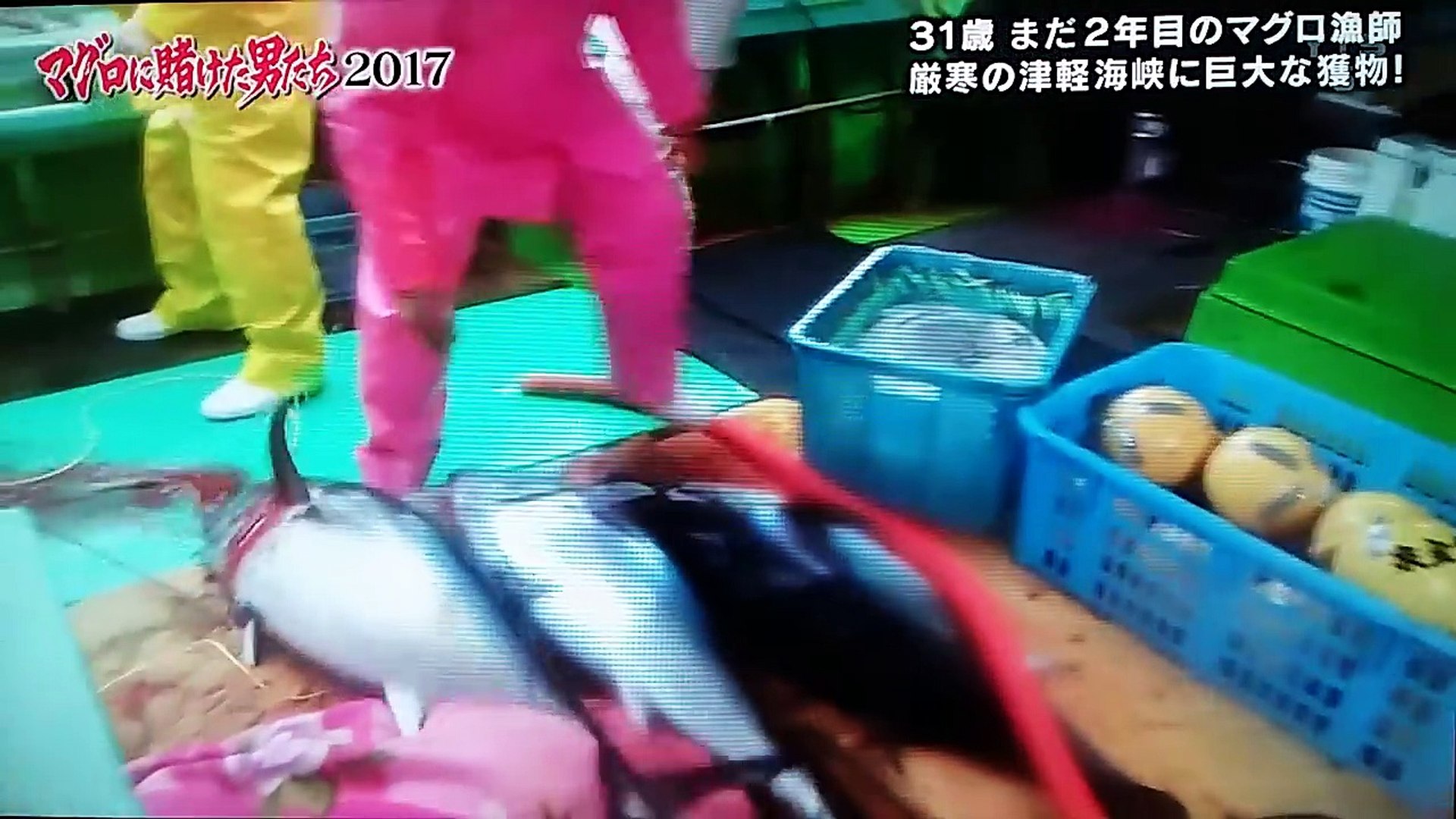 マグロに賭けた男たち Video Dailymotion
