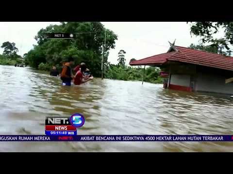 Banjir Rendam Lima Kabupaten di Kalteng - NET5