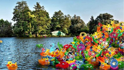 La flotte, installation plasticienne de Mary Sue - Festival Art, villes et paysage - Hortillonnages 2017