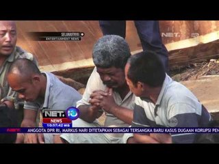 Semakin Banyak Gajah Ditemukan Mati - NET10