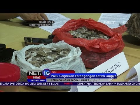 Polisi Gagalkan Perdagangan Satwa Langka, Menyamar Sebagai Pembeli - NET16