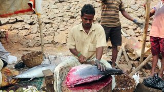 18 Kg Tuna Fish Cutting