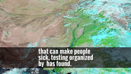 Houston’s Floodwaters Are Tainted, Testing Shows