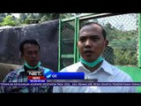 15 Elang Hasil Sitaan Polres Malang Ditempatkan di Kandang Karantina - NET24