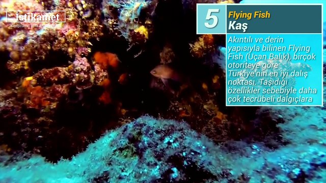 Türkiye'nin en güzel 5 dalış noktası