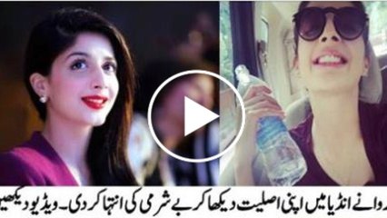 Lion Gives Hug Through Cage - YouTube_2