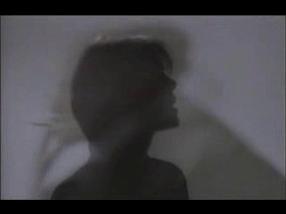Malcom McLaren & Françoise Hardy - Revenge Of The Flowers (Original Music Video) (1994)