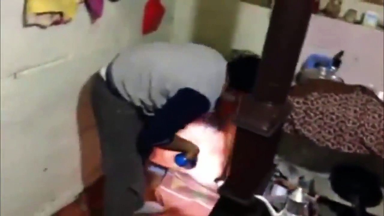 Kedi ile fare yakalama