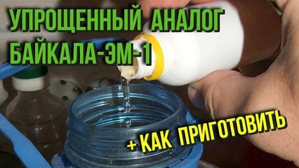 Упрощенный аналог широко известного Байкала-ЭМ-1 Как приготовить в домашних условиях