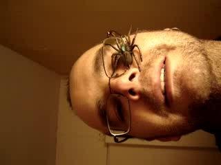 las arañas me rodean